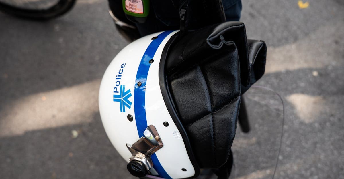 cover image 8282